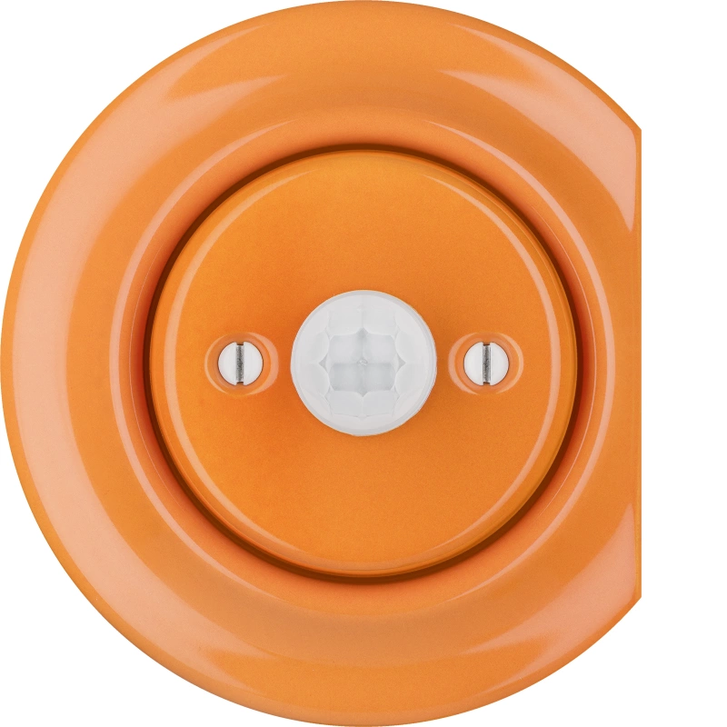 CAROTA